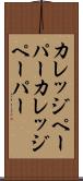 カレッジペーパー Scroll