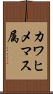 カワヒメマス属 Scroll