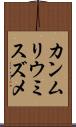 カンムリウミスズメ Scroll