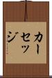 カーセッジ Scroll