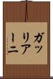 ガッリアーニ Scroll
