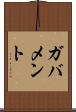 ガバメント Scroll