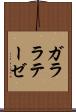 ガララテーゼ Scroll