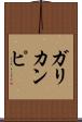 ガリカンピ Scroll