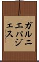 ガルニエパジェス Scroll