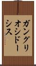 ガングリオシドーシス Scroll