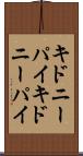 キドニーパイ Scroll