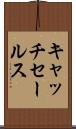 キャッチ・セールス Scroll