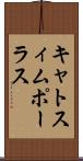 キャトスィムポーラス Scroll
