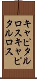 キャピタルロス Scroll