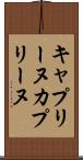 キャプリーヌ Scroll