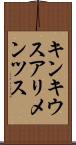 キンキウスアリメンツス Scroll