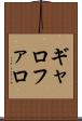 ギャロファロ Scroll