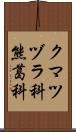 クマツヅラ科 Scroll