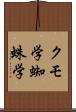 クモ学 Scroll