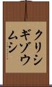 クリシギゾウムシ Scroll