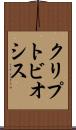 クリプトビオシス Scroll