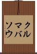 クルマバソウ Scroll
