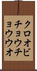 クロオビチョウチョウウオ Scroll