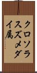 クロソラスズメダイ属 Scroll