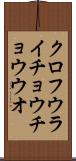 クロフウライチョウチョウウオ Scroll