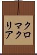 クロマクリア Scroll