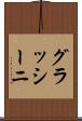 グラッシーニ Scroll