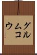 グルムコウ Scroll
