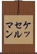 ケッセルマン Scroll