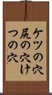 ケツの穴 Scroll