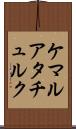 ケマルアタチュルク Scroll
