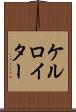 ケルロイター Scroll