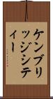 ケンブリッジシティー Scroll
