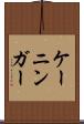 ケーニンガー Scroll