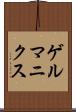 ゲルマニクス Scroll