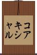 コアキシャル Scroll