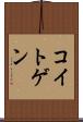 コイトゲン Scroll