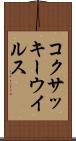 コクサッキーウイルス Scroll