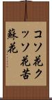 コソ花 Scroll