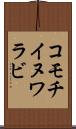 コモチイヌワラビ Scroll
