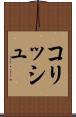 コリッシュ Scroll