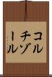 コルチゾール Scroll