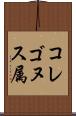 コレゴヌス属 Scroll