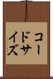 コードサイズ Scroll