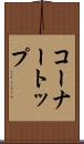 コーナートップ Scroll