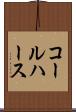 コールハース Scroll