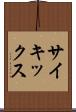 サイキックス Scroll