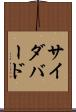 サイダバード Scroll