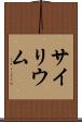 サイリウム Scroll