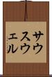 サウスウェル Scroll